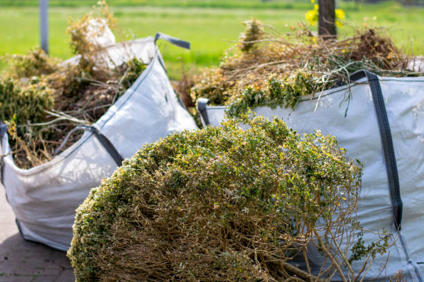 Best Household Junk Removal  in Bolingbrook, IL